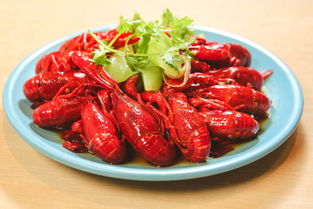 惊喜相遇 精品小龙虾空降避风塘，变身创意美食家